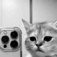 T/g khùng dễ huôngg