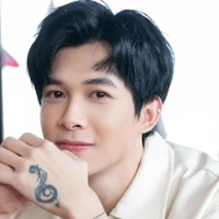 bùi Anh tú
