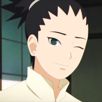 Nara Shikadai
