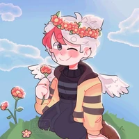 Riusplay