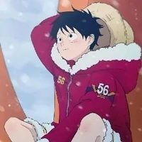 Monkey D Luffy