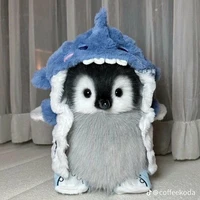 t/g xồn làm:))