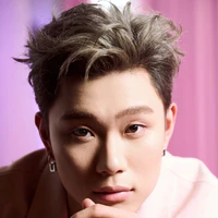dương domic