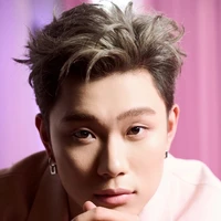 dương domic