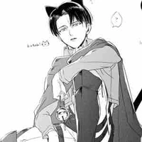 Levi
