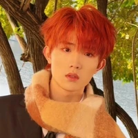 tô Tân Hạo (bé)