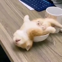 Cụtt