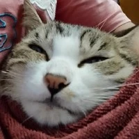 all-trừ những người cần trừ