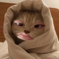 t/g