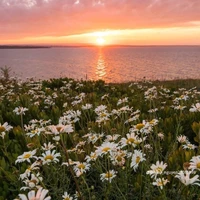 all