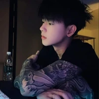 Hoàng Nam Bảo Phong