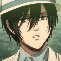 mikasa