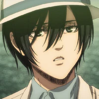 mikasa
