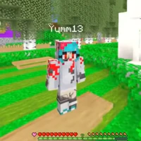 yum13