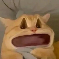 con mồm lèo:))) 