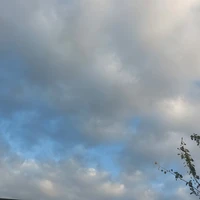 t/g nè