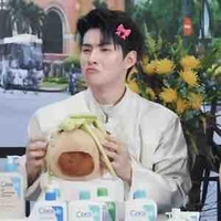 Gemini gấu [ Hùng Huỳnh]