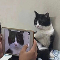 nhân vật khác
