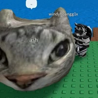 4r1l