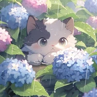 t/giả nè:3