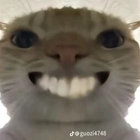 người dẫn truyện ( idk thích thì cho:) )