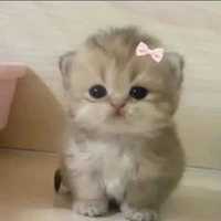 Miu