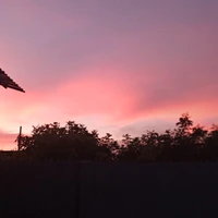 T/g xinh êu