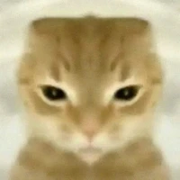 Tg