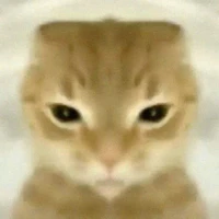 Tg