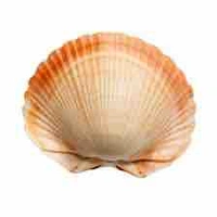 amareye