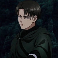 Levi