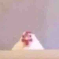 Ngoài Lề ( All/ - ai cần -)