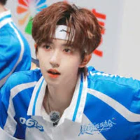 Hạ Tuấn Lâm