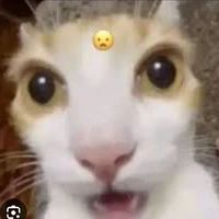 Tác giả nek