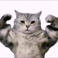 T/g(Má /mồn lèo)