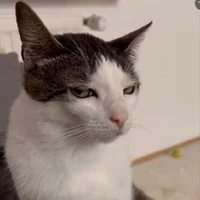 Mẹ
