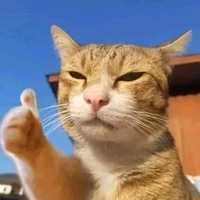 Tác giả hay chán