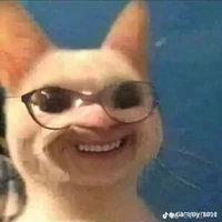 mèo