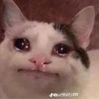 chủ