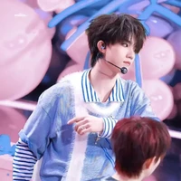 Tô Tân Hạo (anh cô)