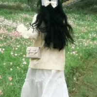 Mai Lan