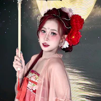 Lệnh Phi