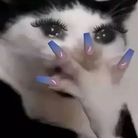 nhỏ ht mèo nè