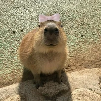 Capybara