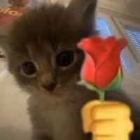 tác giả này độc lạ lắm