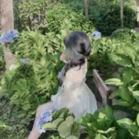 Bảo Châu(Nene)