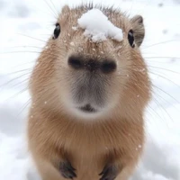 Capybara