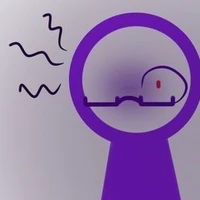 ALAN