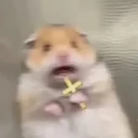 ôi chúa , thánh thần thiên địa, t/g nè!!