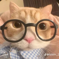 nv phụ trc khi hoán đổi